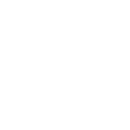 aig logo.png