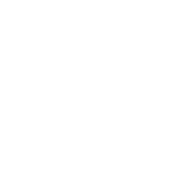 orbis logo.png