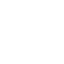 sun hung kai logo.png