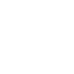 wonderland logo.png